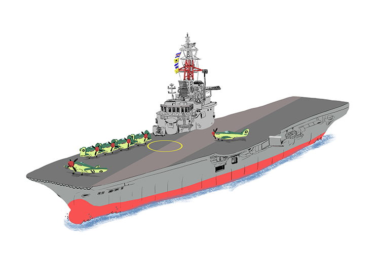 Aircraft carriers were the biggest ships in the fleet